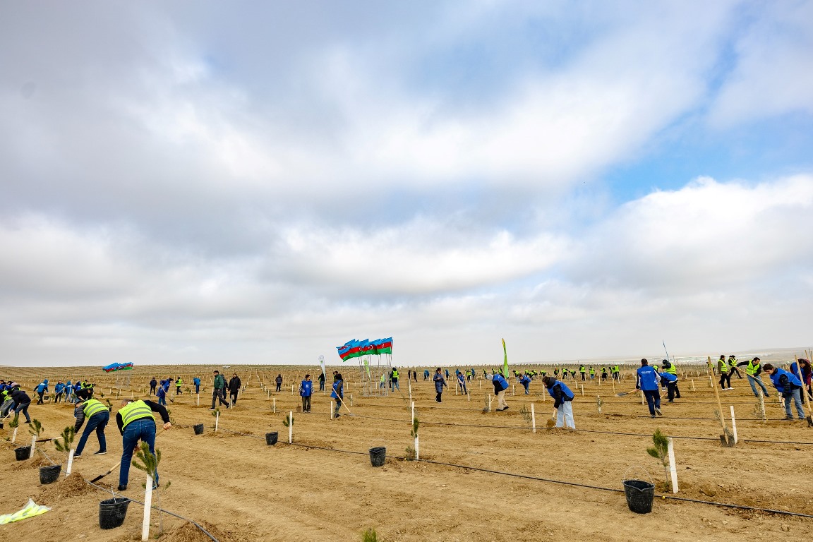 Tree planting campaign was held within the Green World Solidarity Year