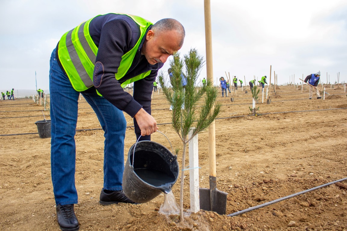 Tree planting campaign was held within the Green World Solidarity Year