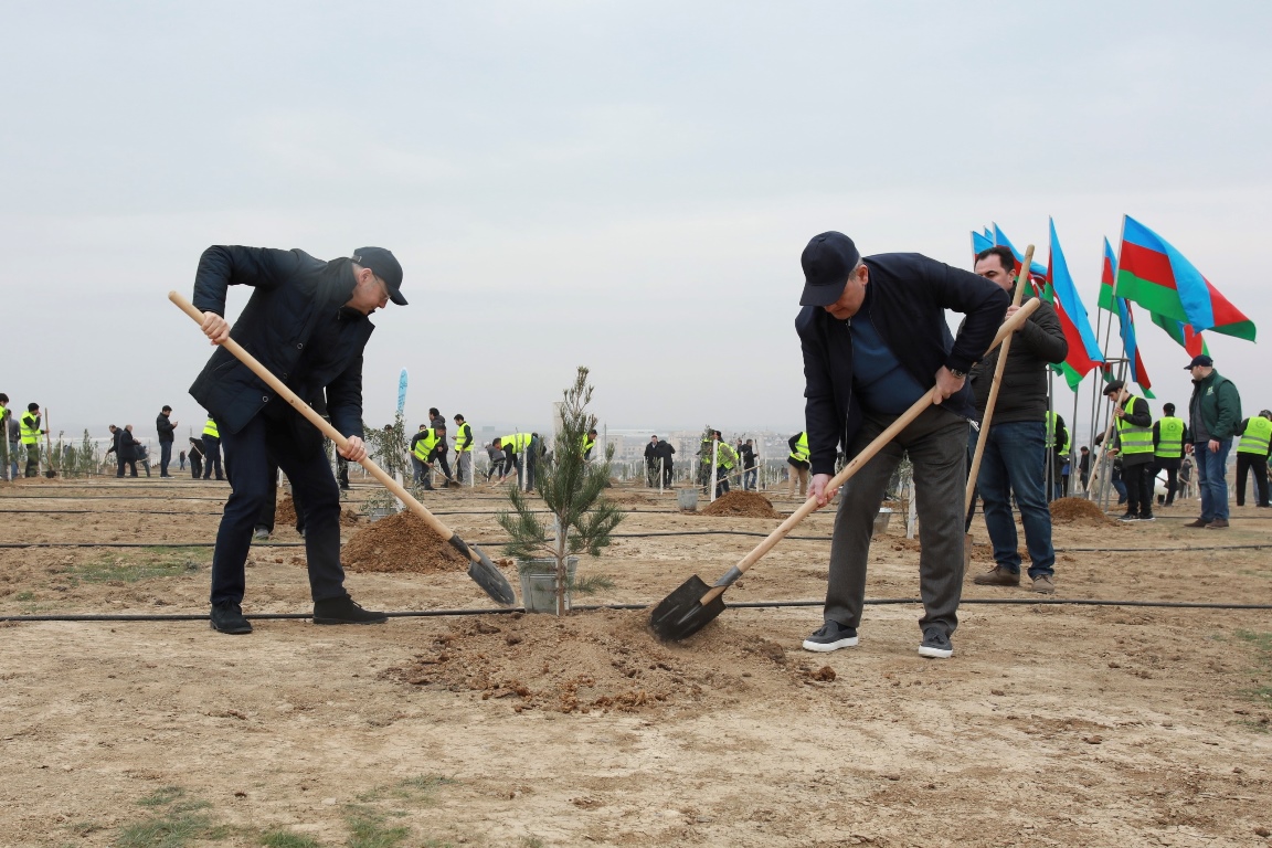 Tree planting action was held within “Year of Heydar Aliyev”