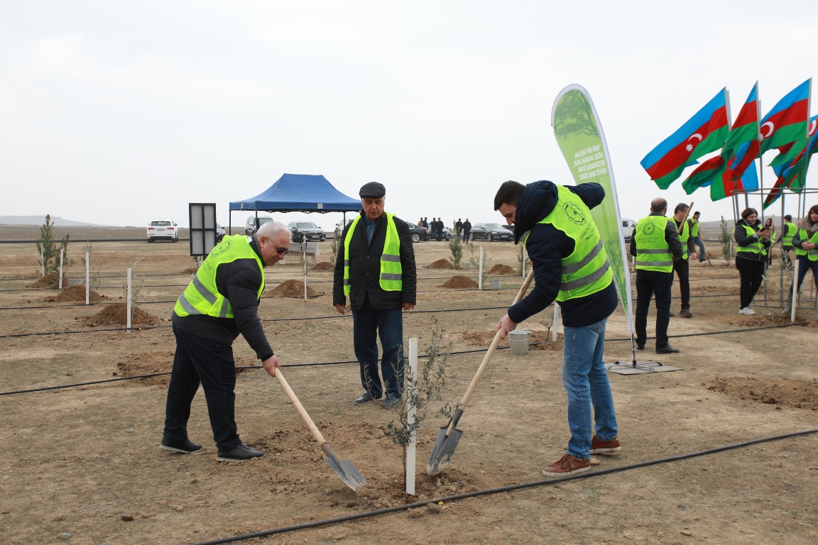Tree planting action was held within “Year of Heydar Aliyev”